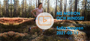 Inspelning av webbinar med Sofia Norgren